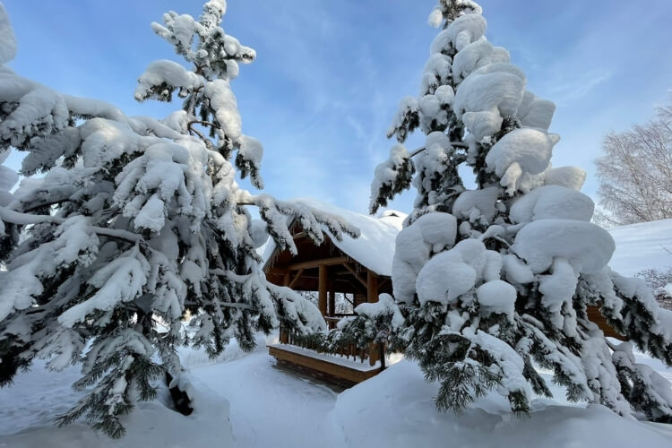 Эрестем отдых в гармониис&nbsp;природой в&nbsp;сердце Удмуртии